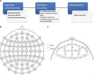 Prefrontal dysfunction in post-COVID-19 hyposmia: an EEG/fNIRS study